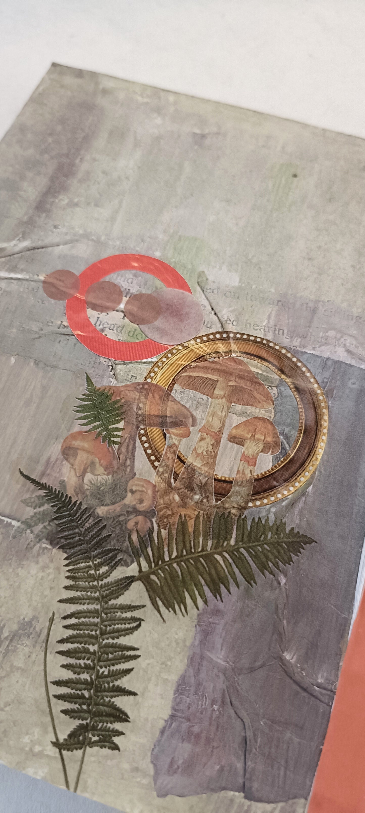 Contrasting Colourway