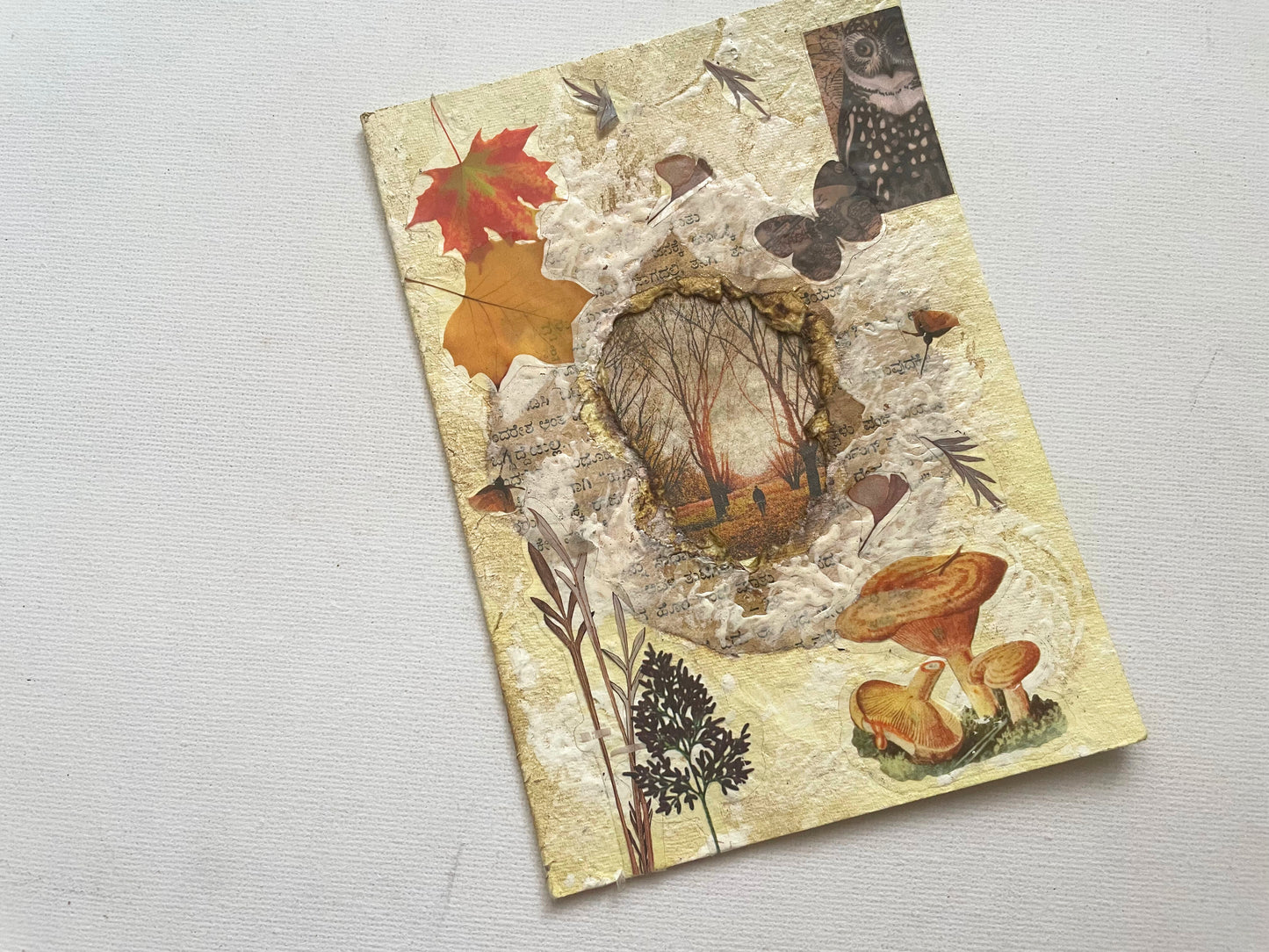 Autumn Aura