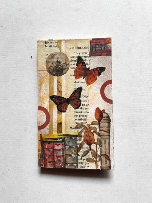 Beautiful Butterflies