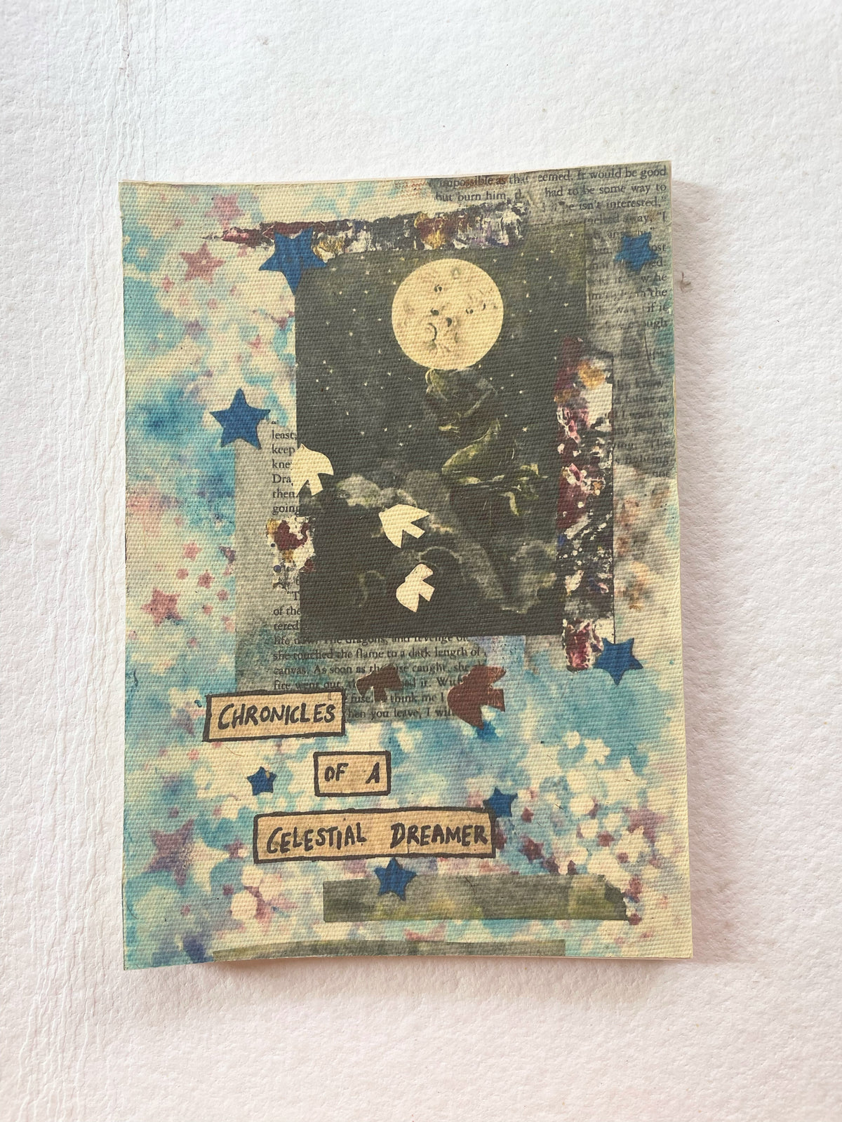 Chronicles of a Celestial Dreamer