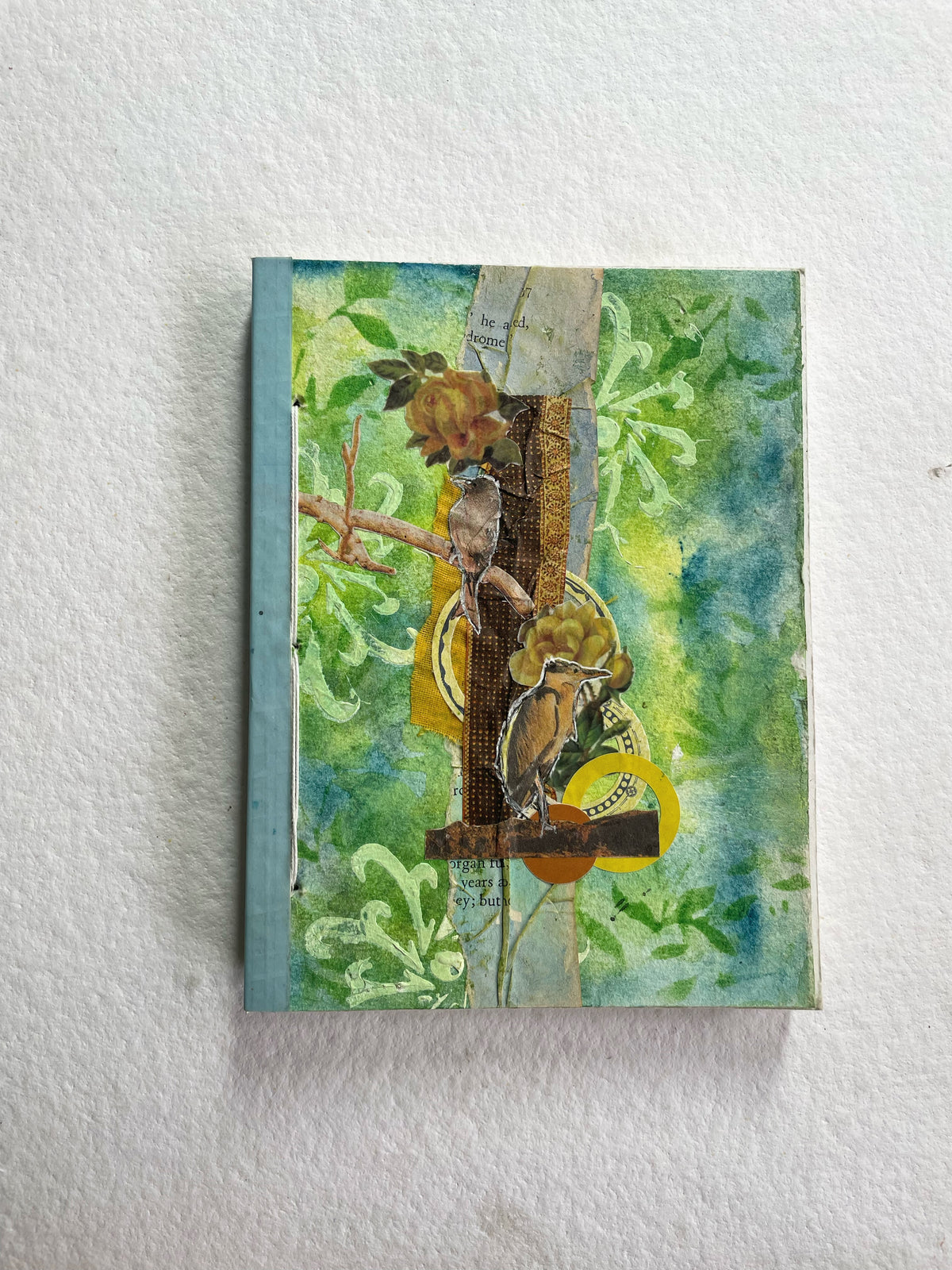 Birds on Branches