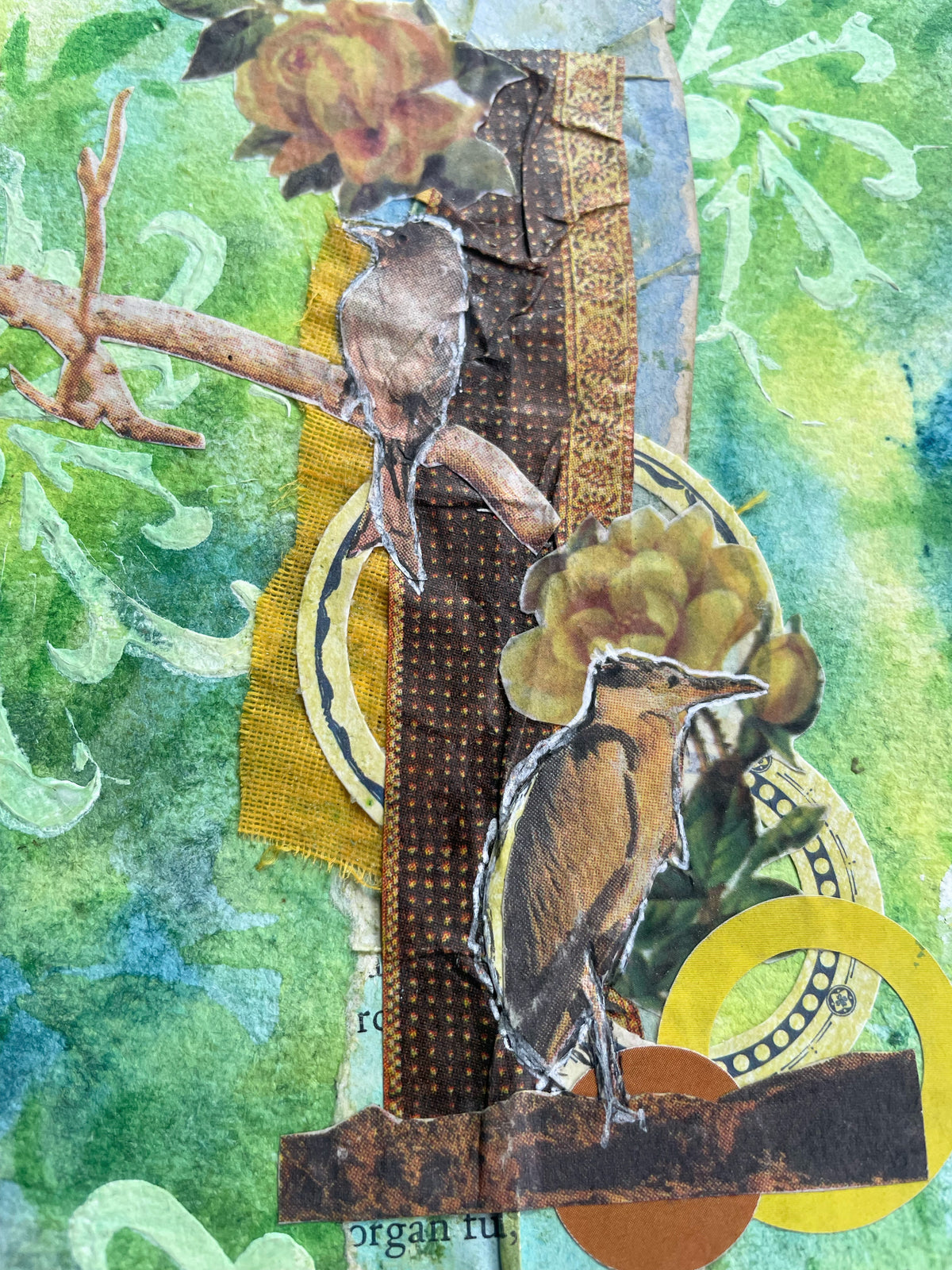 Birds on Branches
