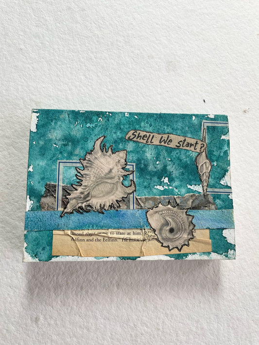 Shells and Conches