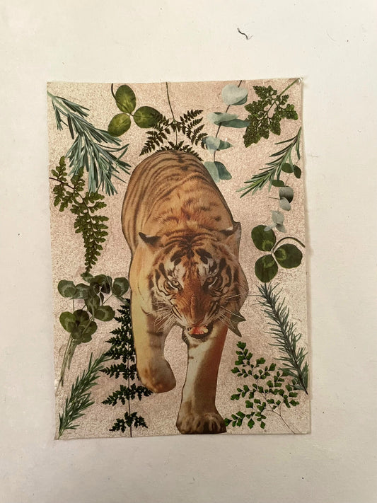 Tactful Tiger
