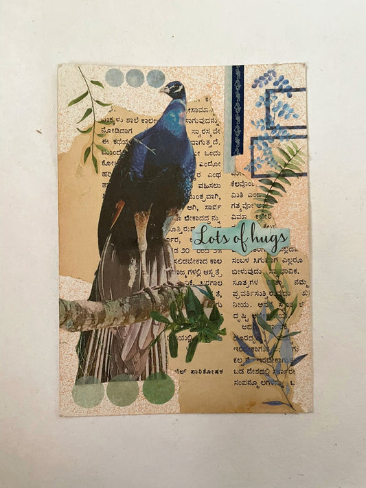 Picturesque Peacock