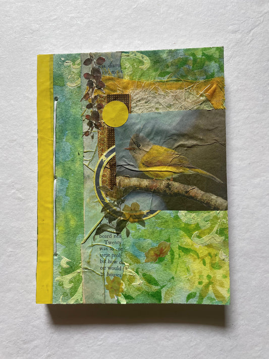 Balanced Birdy
