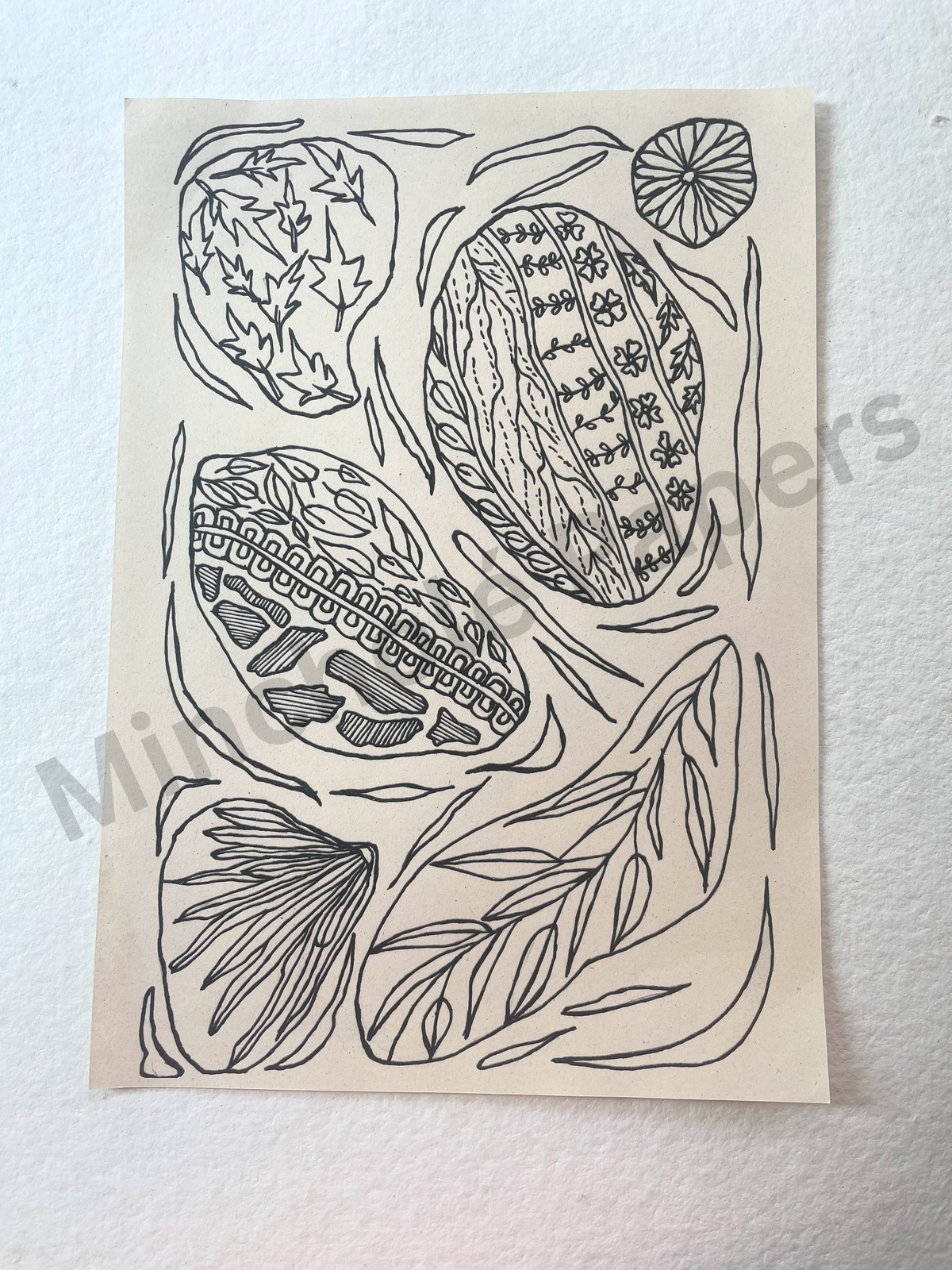 Lines and Leaves - Colouring Pages