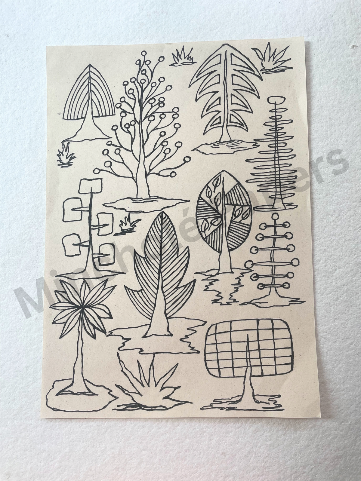 Lines and Leaves - Colouring Pages