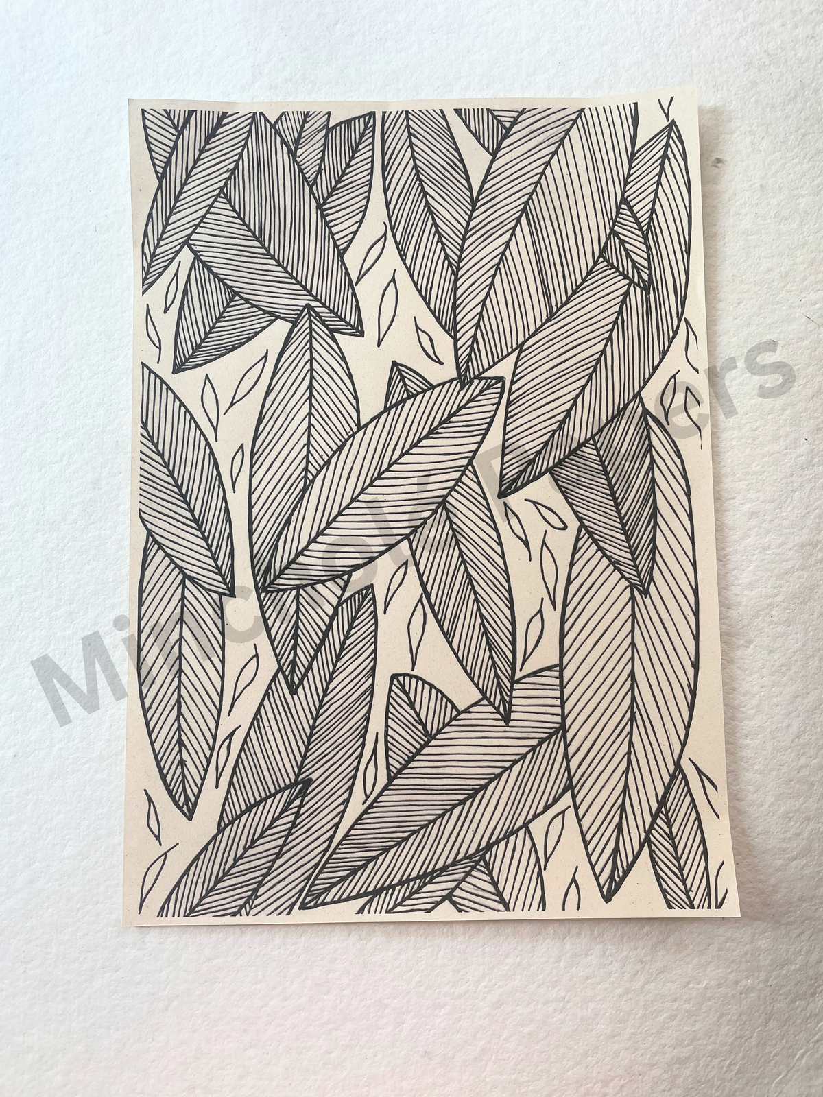 Lines and Leaves - Colouring Pages