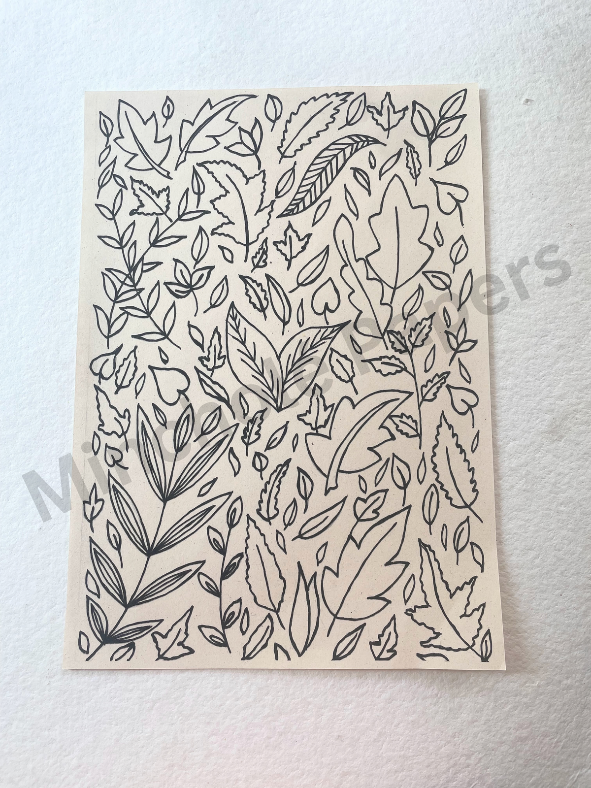 Lines and Leaves - Colouring Pages