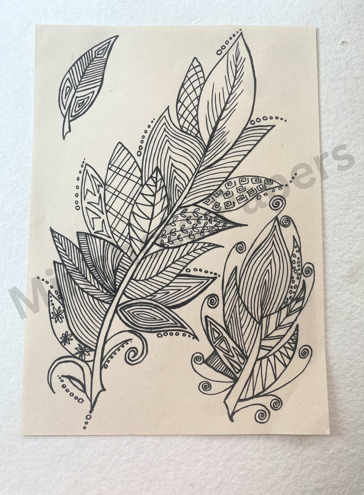 Lines and Leaves - Colouring Pages