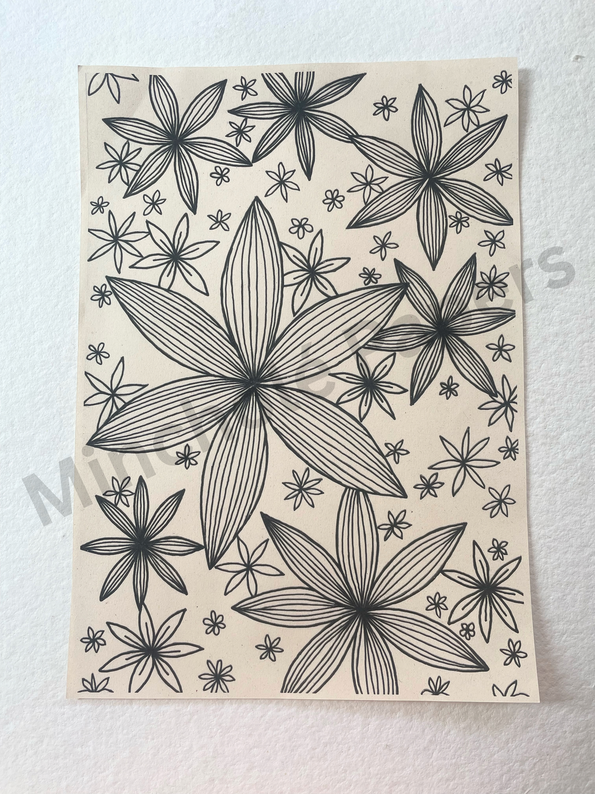 Lines and Leaves - Colouring Pages